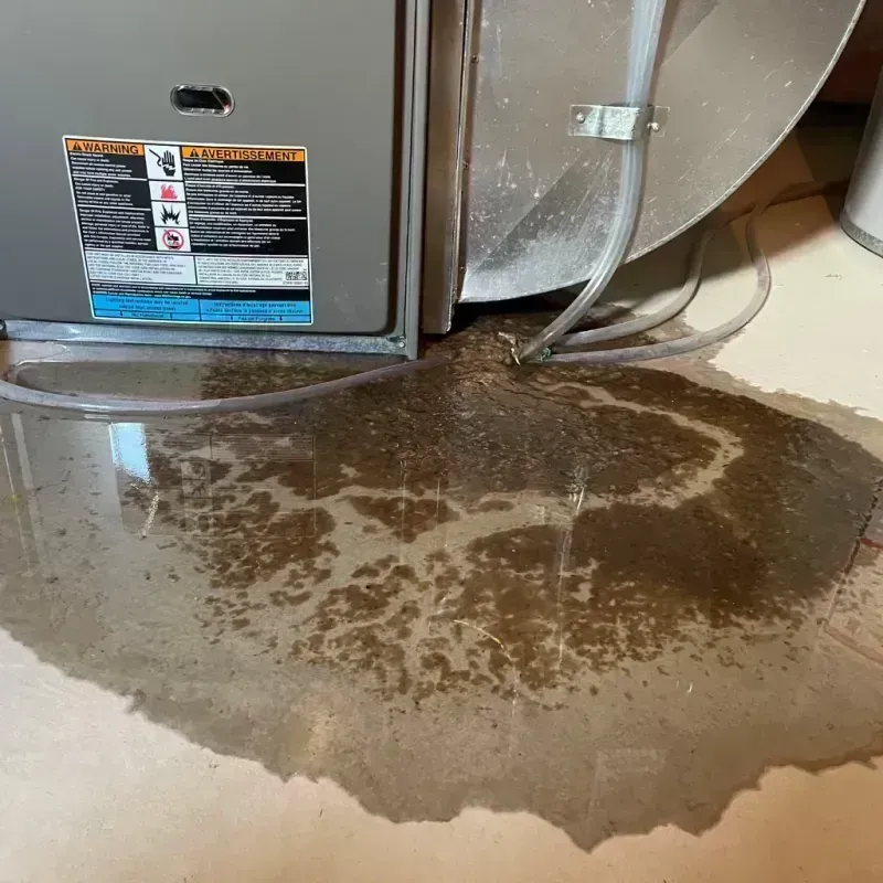 Appliance Leak Cleanup in Versailles, MO